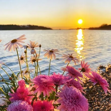 Venetia Apartment Porto Heli