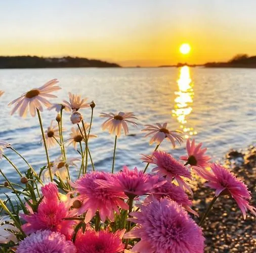 Venetia דירה פורטו הלי